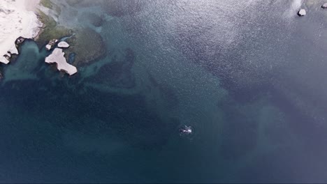 Aerial-View-Of-A-Whale-Swimming-In-The-Shallow-Blue-Sea-Near-The-Shore---extreme-wide-top-down-shot