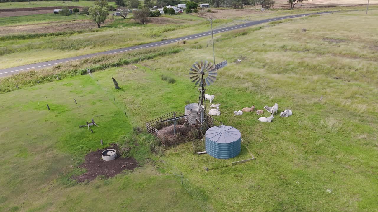 풍차 와 크 근처 에서 가축 들 이 먹이 를 먹고 있다
