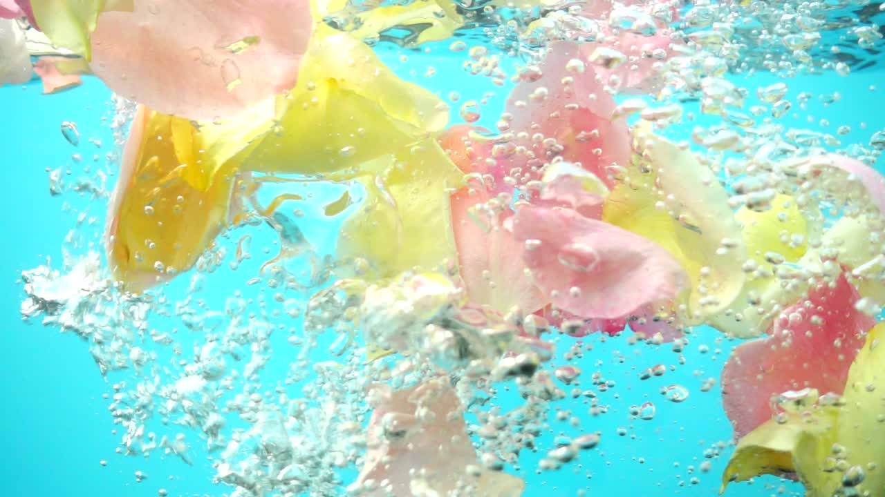 Petali di rose cadono nell'acqua. Sfondo. Movimento rallentato.