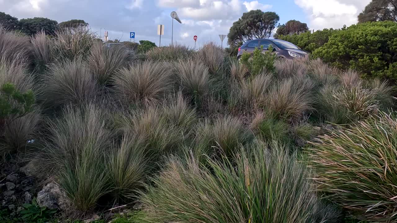 풀과 파란 하늘이 있는 바람이 불는 풍경