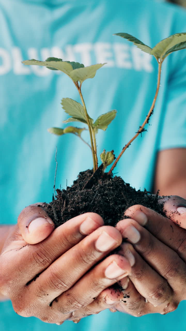 Volunteer Holding a Small Plant with Soil in Cupped Hands