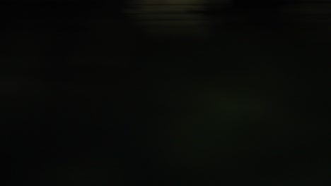 escena borrosa del bosque