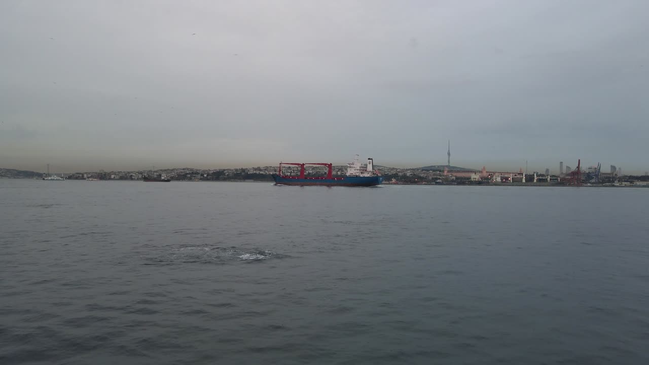 los delfines al amanecer uskudar istanbul pavo