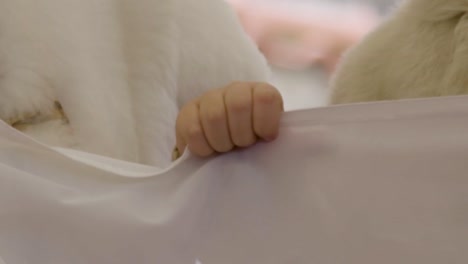child's hand holding a white flag, white fabric, detail shot