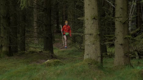 female hiker walking on a trail in the woods, walkin in the freame, wide shot on a long lens