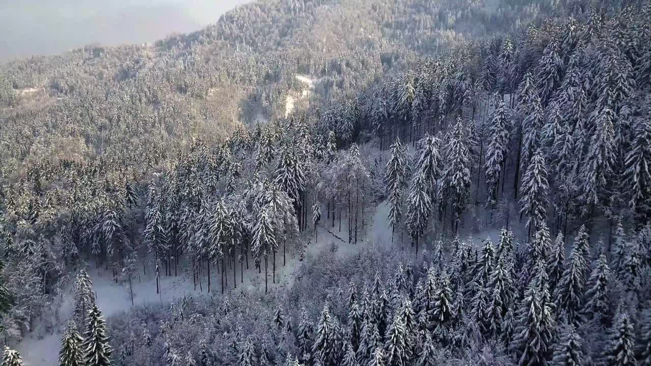 겨울 동안 중앙 슬로베니아의 언덕 꼭대기에 있는 그림 같은 스베티 토마즈 교회
