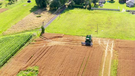 Bird's-eye-view-of-agricultural-area-and-green-wavy-fields-in-sunny-day