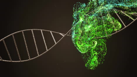 animation of dna strand over green spots