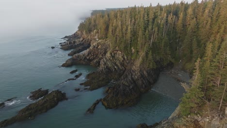 landschaftliche luftuntersuchung der kühnen küste von maine zeigt neblengehüllte bäume