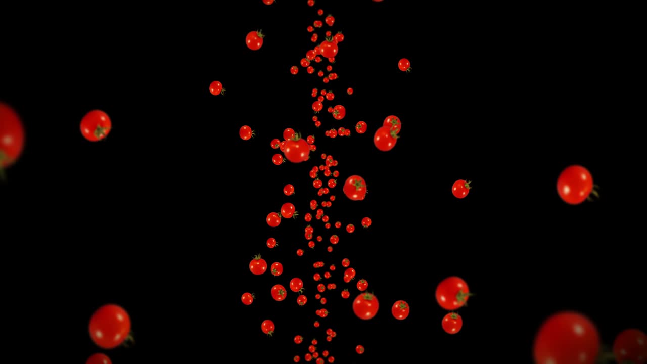 검은색 바탕에 많은 신선한 토마토를 날아. 유기 채소. 익은 맛있는 체리 토마토. 토마토 회전의 3d 루프 애니메이션.