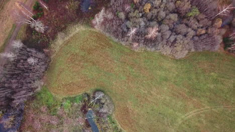 flyover of swamp, revealing an old family home next to it - top down view