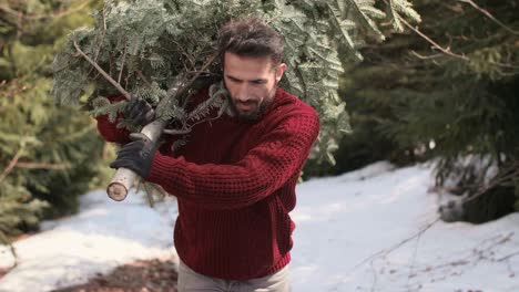 Este-árbol-De-Navidad-Es-Grande-Y-Muy-Pesado