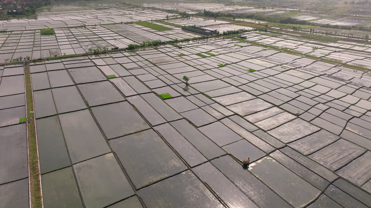 vista aérea abstracta de arrozales rectangulares inundados en el campo de bali