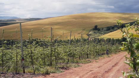 revealing shot of a beautiful farm landscape in south africa