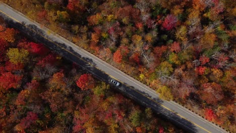 Vista-Aérea-Del-Follaje-Otoñal-Del-Bosque-Nacional-White-Mountain-New-Hampshire