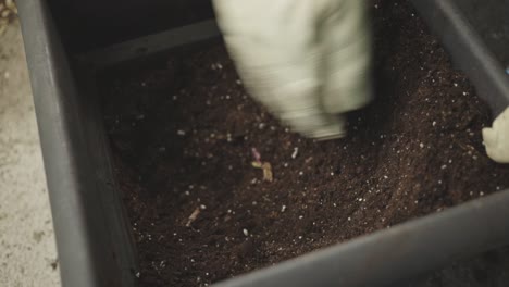 hand in gloves mixing soil with fertilizer in planting pot