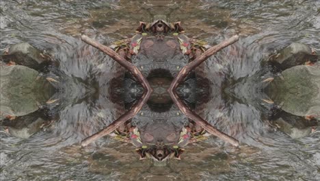 kaleidoscope from nature shots, wissahickon creek