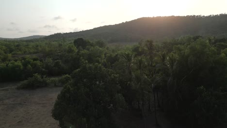 beautiful-morning-in-Malvan-drone-shot-forest-behind-trees