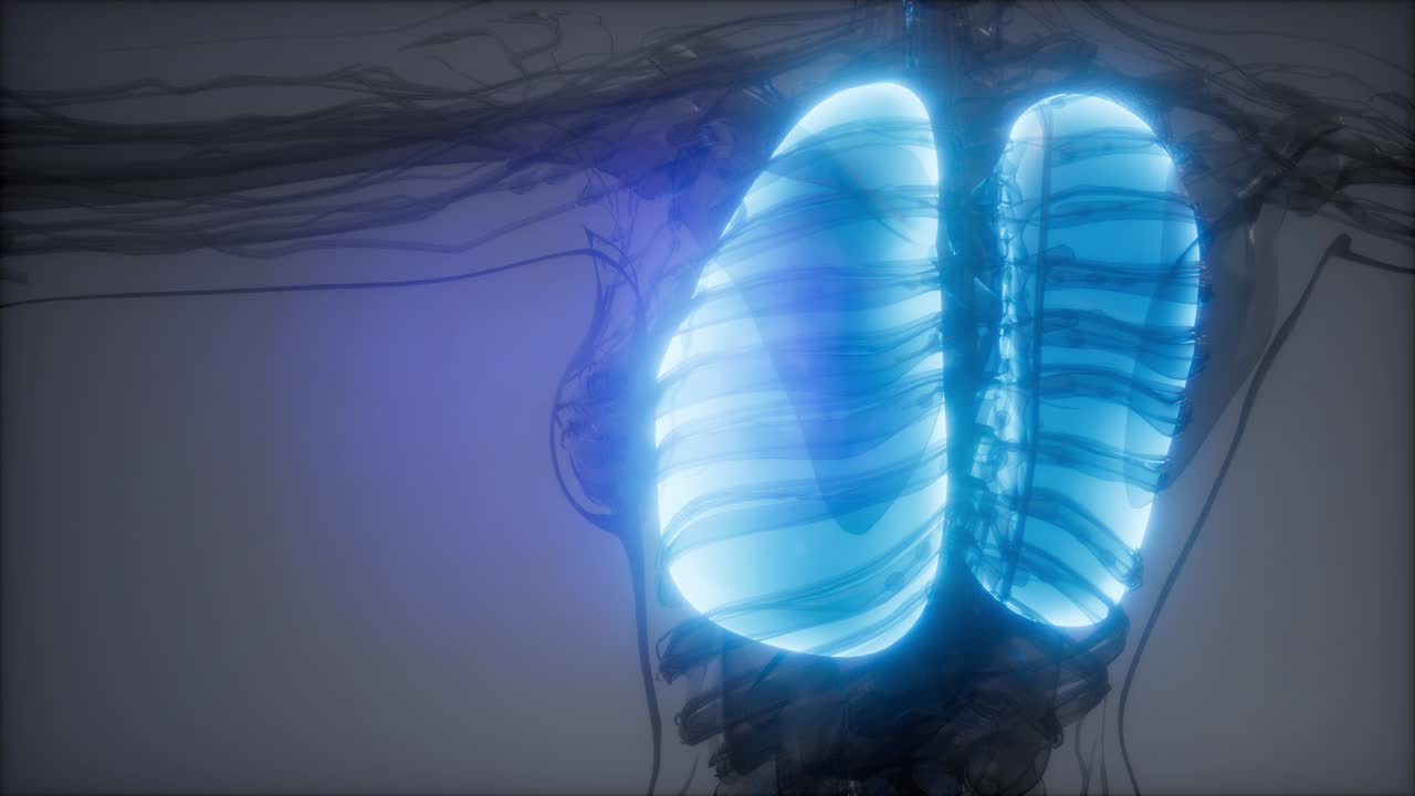 examen radiológico de los pulmones humanos