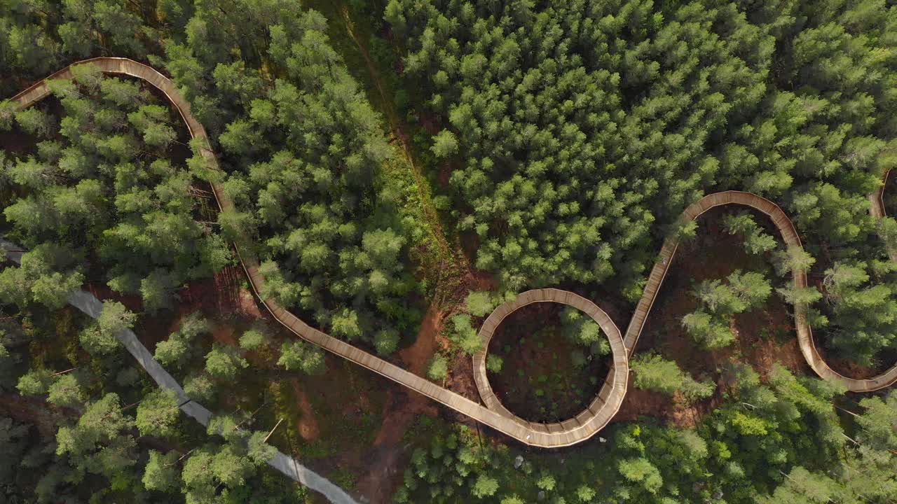 vista superior del sendero de madera en las copas de los pinos en el parque de actividades de hamaren, fyresdal, condado de telemark, noruega