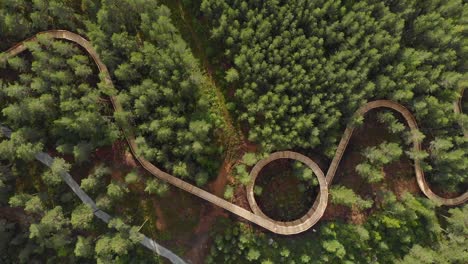 Topview-Of-Wooden-Walking-Trail-In-Pine-Treetops-In-Hamaren-Activity-Park,-Fyresdal,-Telemark-County,-Norway