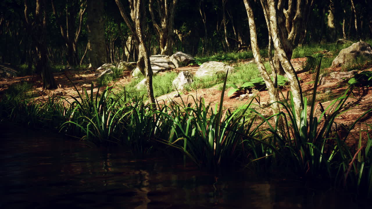 en el estanque del bosque verde de musgo