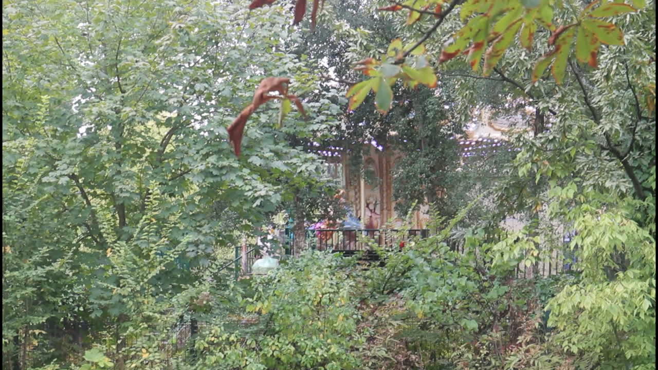 공원 에 있는 다람