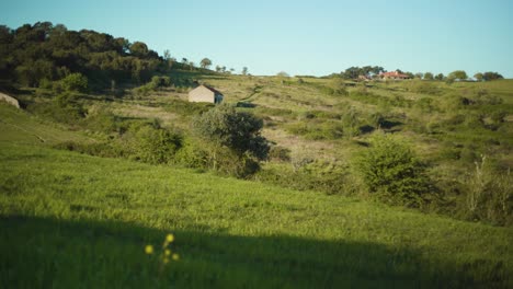 campo verde al atardecer con árboles, colinas, casa rural de piedra, cielo azul