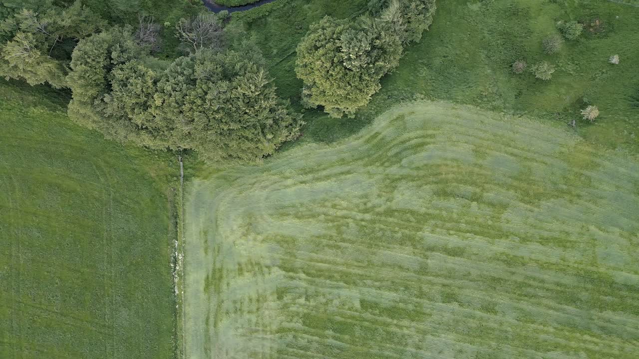 una toma aérea de dolly mira directamente hacia abajo en las tierras de cultivo escocesas verdes