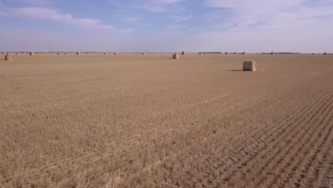 Low-aerial-over-golden-field-of-freshly-cut-round-hay-bales-on-prairie
