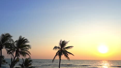 siluetas de palmeras de coco al atardecer de color dorado sobre el mar