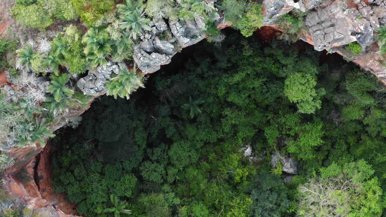 drone aéreo de arriba hacia abajo ojo de pájaro que se eleva tiro medio de la entrada de la cueva lapa doce con una selva tropical autónoma debajo en el parque nacional chapada diamantina en bahia, noreste de brasil