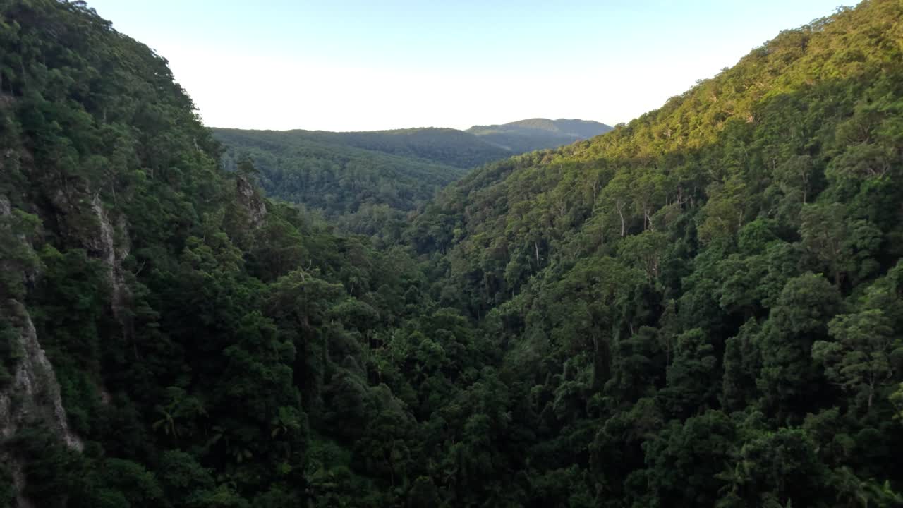 Vista aérea de uma paisagem de cânion exuberante e verdejante