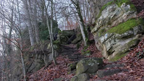 Hombre-Subiendo-A-Las-Rocas-En-La-Ruta-De-Senderismo-Mullerthal-Entre-Formaciones-Rocosas-En-Luxemburgo