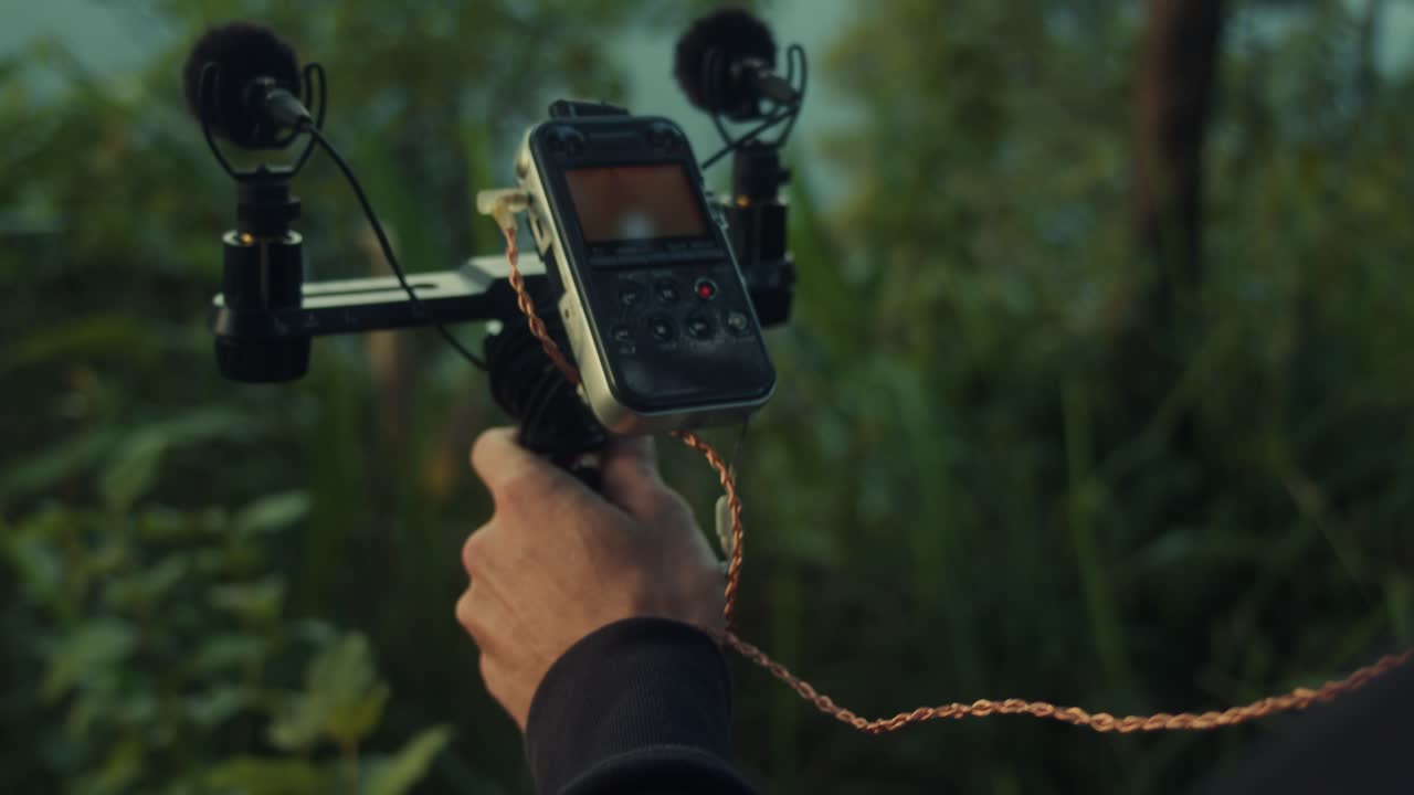 Sound Recording in Nature