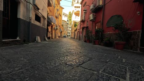 quiet street with colorful buildings and plants