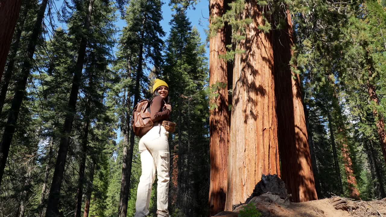 Donna con zaino in piedi in una foresta di sequoie giganti che guarda in alto