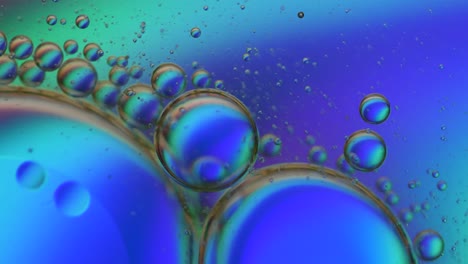 close up of multicolored bubbles of oil liquid