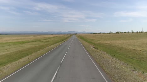 a long, straight road through a field under a blue sky