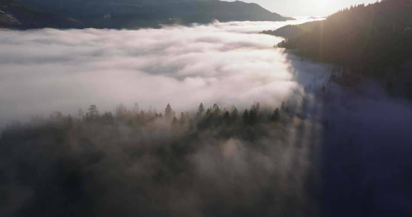 Aerial overview above thick fog flowing and illuminated by sun tendrils in forested mountain valley Montana