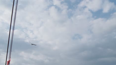 El-águila-Marina-De-Vientre-Blanco-Vuela-Contra-Un-Telón-De-Fondo-De-Cielo-Azul-Y-Nubes-En-La-Isla-De-Komodo,-Indonesia