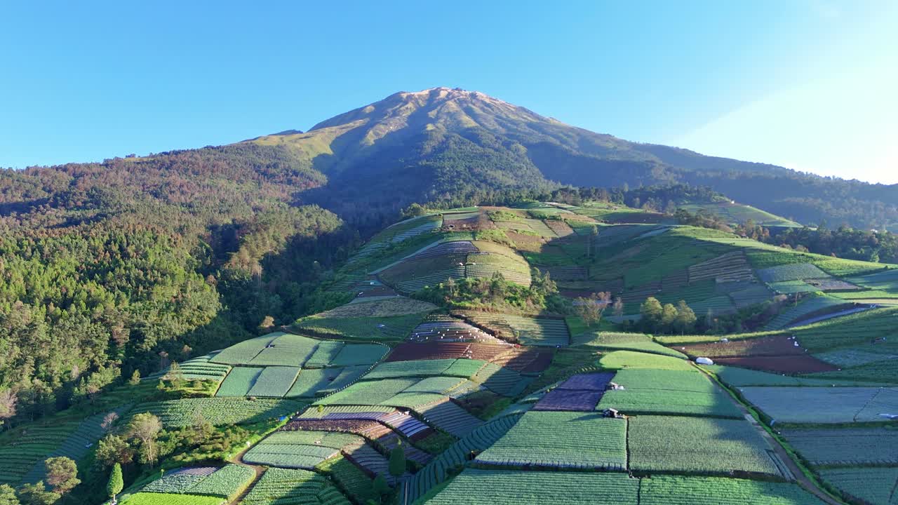 Scenic drone shot of terraced vegetable fields on a mountain slope in Indonesia. The geometric patterns of the farms contrast with the forest and mountain peaks in the background