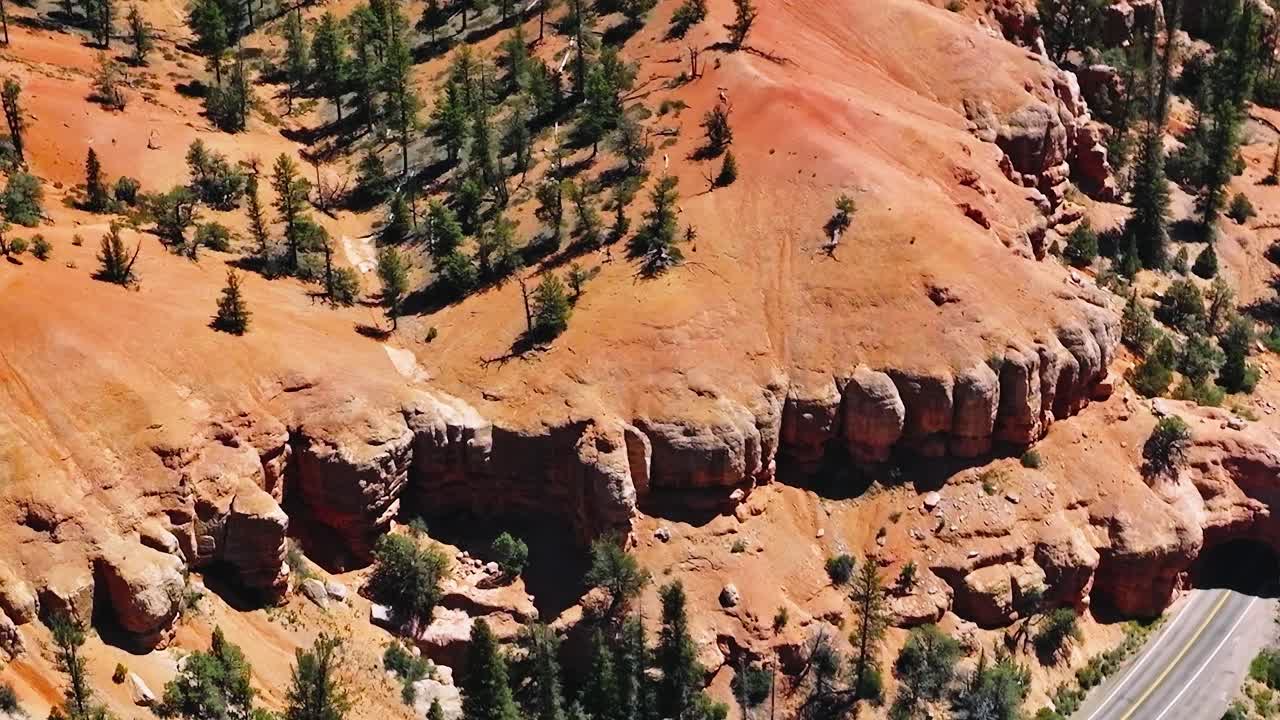 Paesaggio del Mojave con terreno roccioso e alberi sparsi durante il giorno