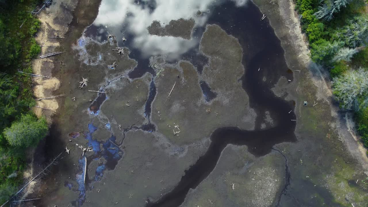 río seco en un bosque verde debido al aumento de las temperaturas y el cambio climático capturado por drones