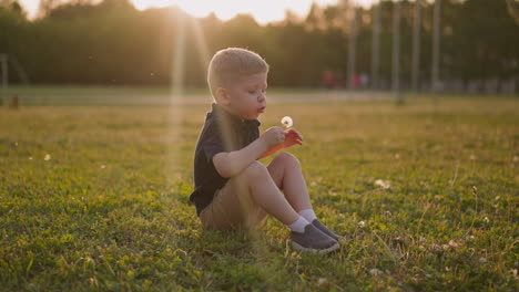 playful little boy blows dandelion and waves hand on meadow