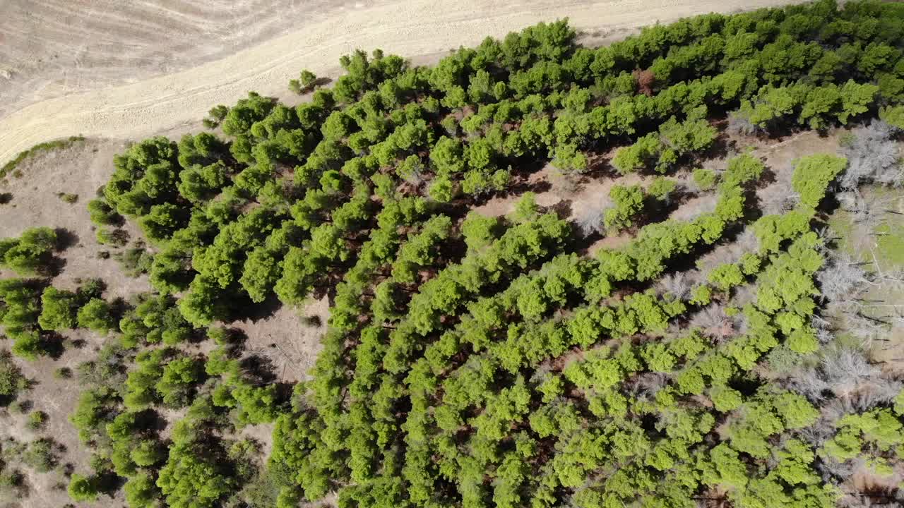 contraste con las colinas de los árboles y los campos cercanos en la campiña de ascoli satriano en puglia