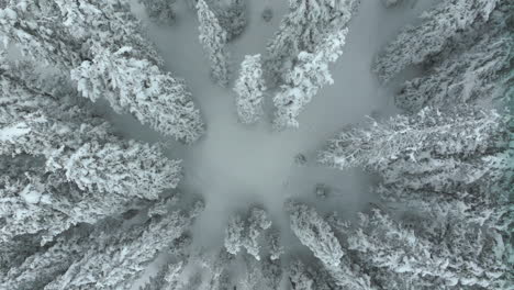 Cinematic-aerial-Colorado-winter-wonderland-spring-deep-powder-snow-covered-pine-trees-Loveland-Ski-Resort-Eisenhower-Tunnel-Coon-Hill-backcountry-i70-Continential-Divide-Rocky-Mountains-circle