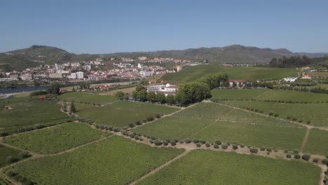 Aerial-view-of-the-luxurious-Wine-House-Hotel-in-Lamego,-in-the-heart-of-the-Douro-region,-Quinta-da-Pacheca-is-surrounded-by-extensive-private-grounds-with-vineyards