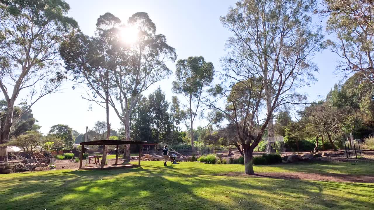 나무 와 울타리 를 가진 평화로운 동물원 장면