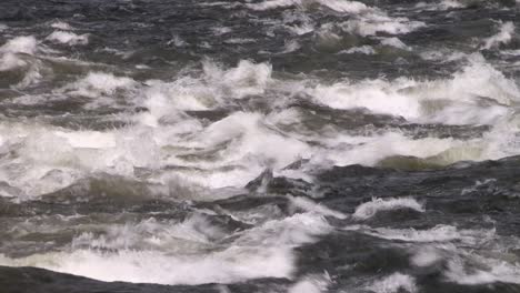 close up of a river in norway in fjell landscape